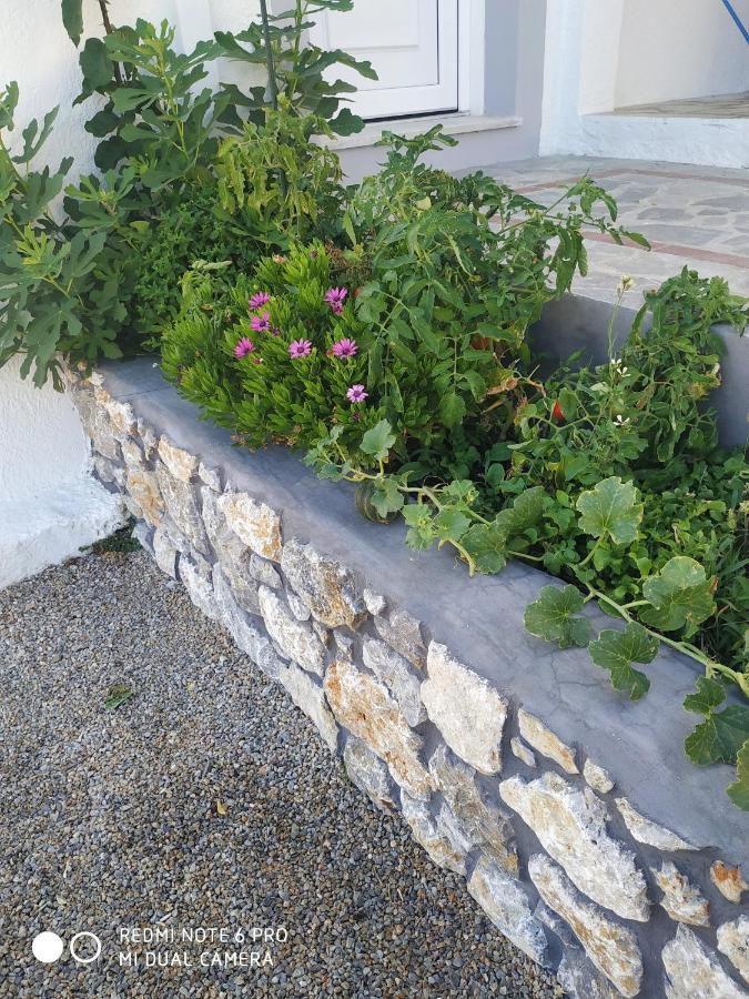 Apartment Elenis Studios&apartments Masouri
