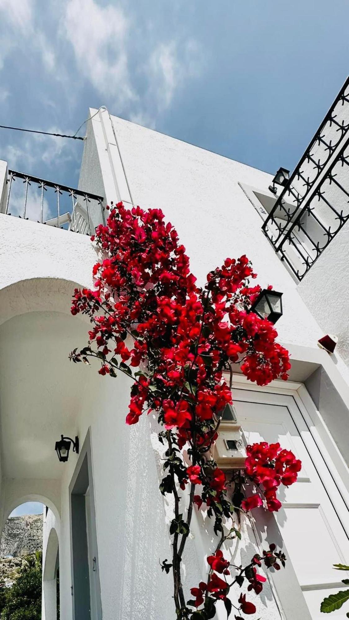 Elenis Studios&apartments Masouri